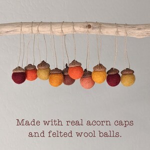 May include: A string of felt acorn ornaments in shades of red, orange, and yellow, hanging from a branch. The acorns are made with real acorn caps and felt wool balls. "Made with real acorn caps and felted wool balls." is written below the ornaments.