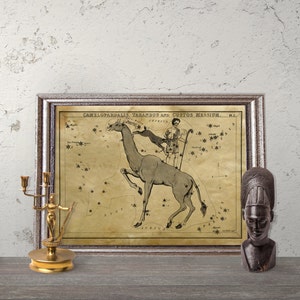 May include: A vintage illustration of the Camelopardalis, Tarandus and Custos Messium constellations. The illustration features a giraffe with a man riding on its back, surrounded by stars. The text "Camelopardalis, Tarandus and Custos Messium" is printed at the top of the illustration.