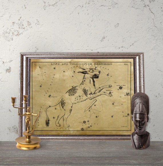 Astronomy Wall Decor Astrological Print Lynx and Telescopium Etsy