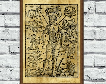 The Number 12, Zodiac, alchemy study, alchemy occult poster, Ancient print, magick alchemy, sacred geometry, esoteric home decor