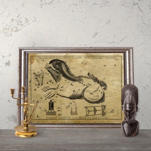 Può includere: Un'illustrazione antica in bianco e nero della costellazione di Cetus, nota anche come il Mostro Marino. L'illustrazione è incorniciata in una cornice argentata e presenta il testo "PSALTERIUM GEORGIL FLUVIUS ERIDANDS, CETUS, OFFICINA SCULPTORIS" e "FORNAX CHEMICA, AND MACHINA ELECTRICA" nella parte superiore e inferiore dell'immagine.
