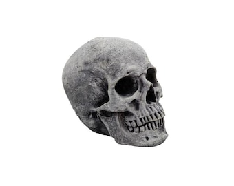 Skull Head Concrete Garden Statue Cement Figurine Cast Stone Skull  Skelletor Sculpture