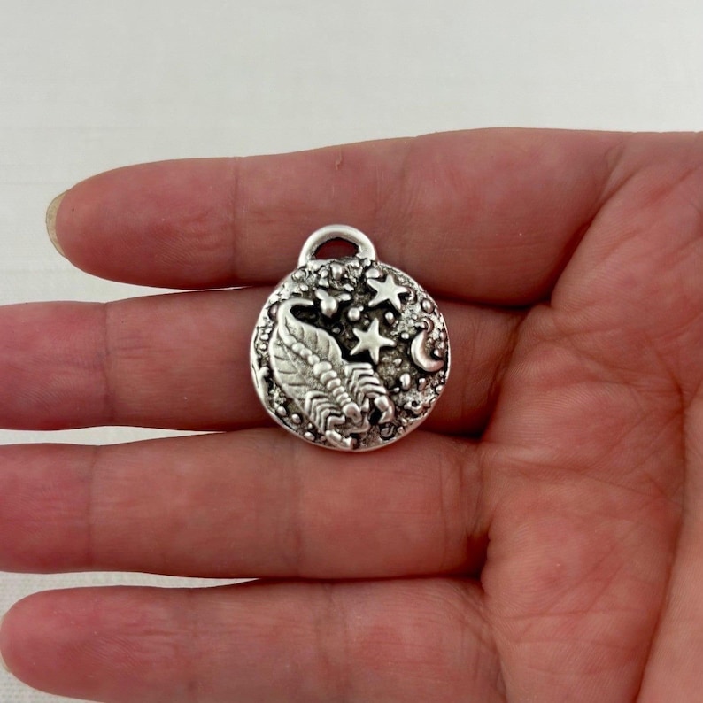 Zodiac Pendant, Silver Horoscope Charm, Birth Month Astrology Jewelry Making Medal, SL-6324 image 8