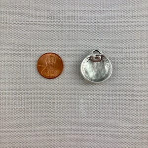 Zodiac Pendant, Silver Horoscope Charm, Birth Month Astrology Jewelry Making Medal, SL-6324 image 9