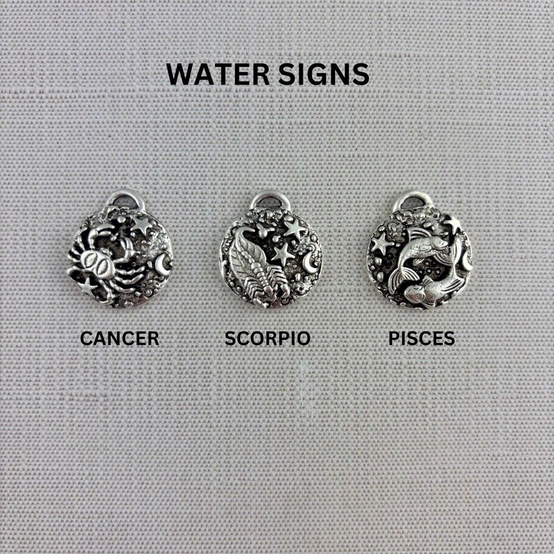 Zodiac Pendant, Silver Horoscope Charm, Birth Month Astrology Jewelry Making Medal, SL-6324 image 5