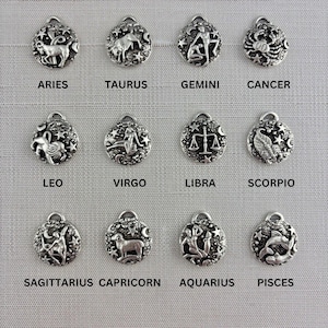 Zodiac Pendant, Silver Horoscope Charm, Birth Month Astrology Jewelry Making Medal, SL-6324 image 1