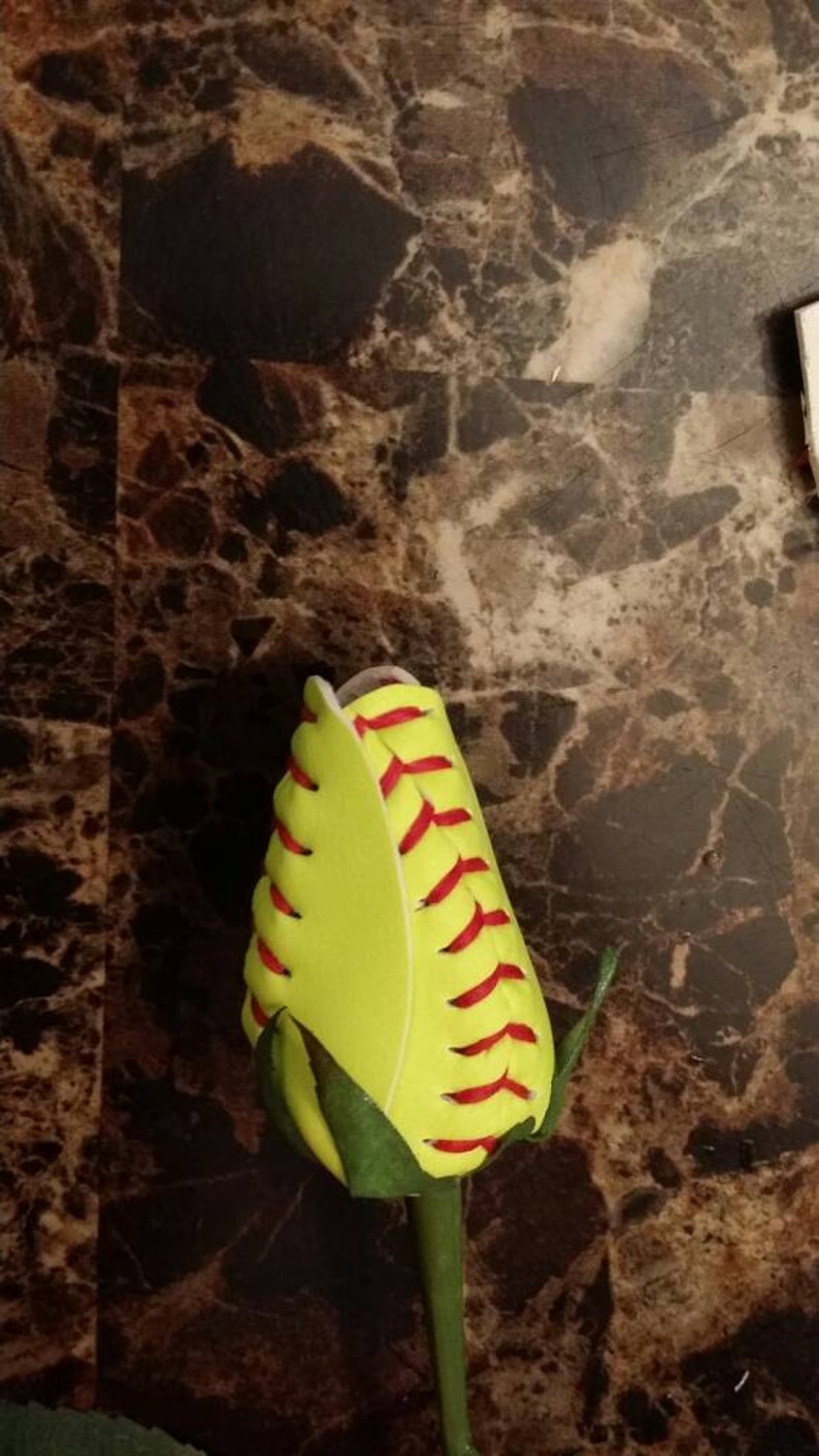 11 softball roses in individual wrap with bow Etsy