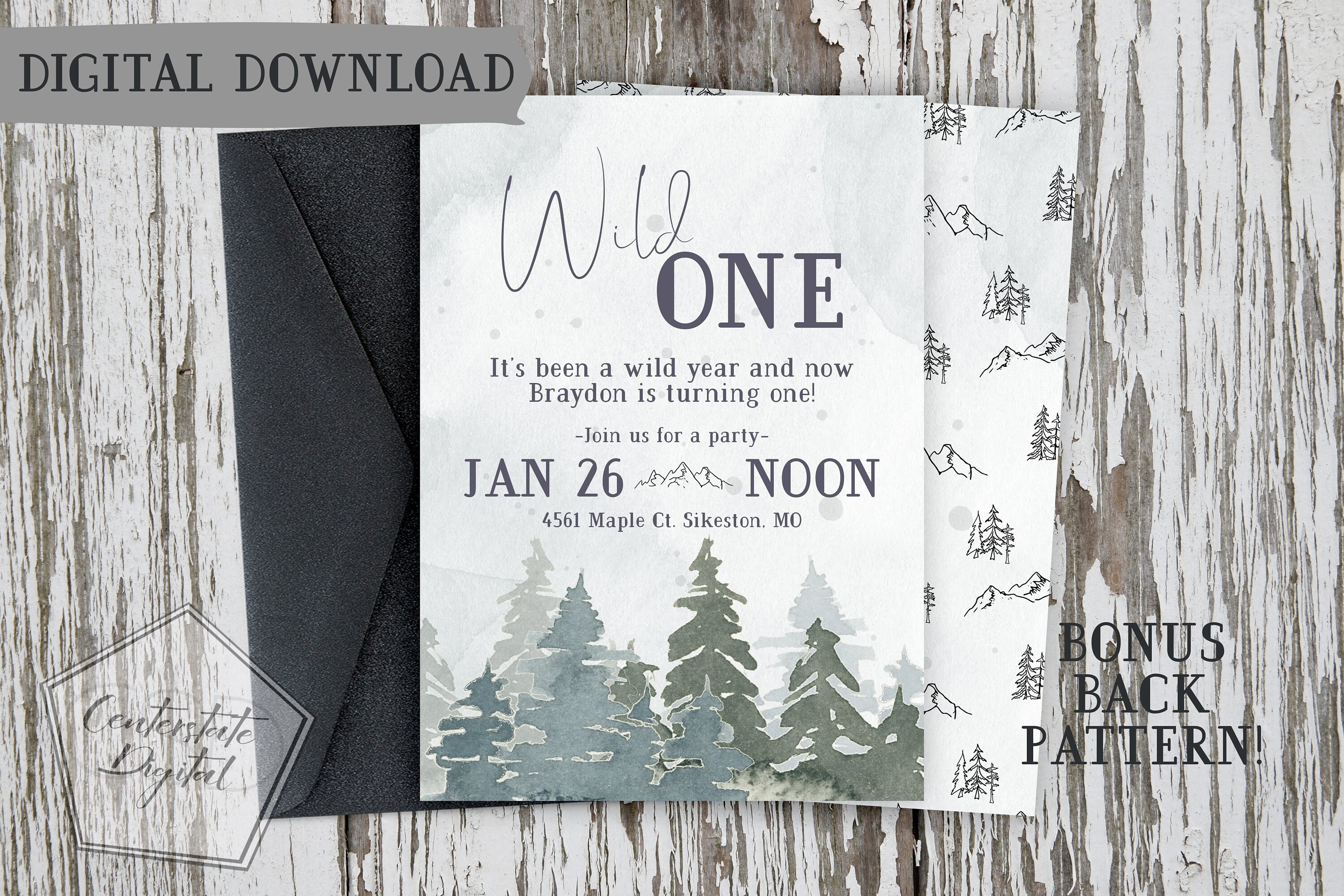 Wild One First Birthday Party