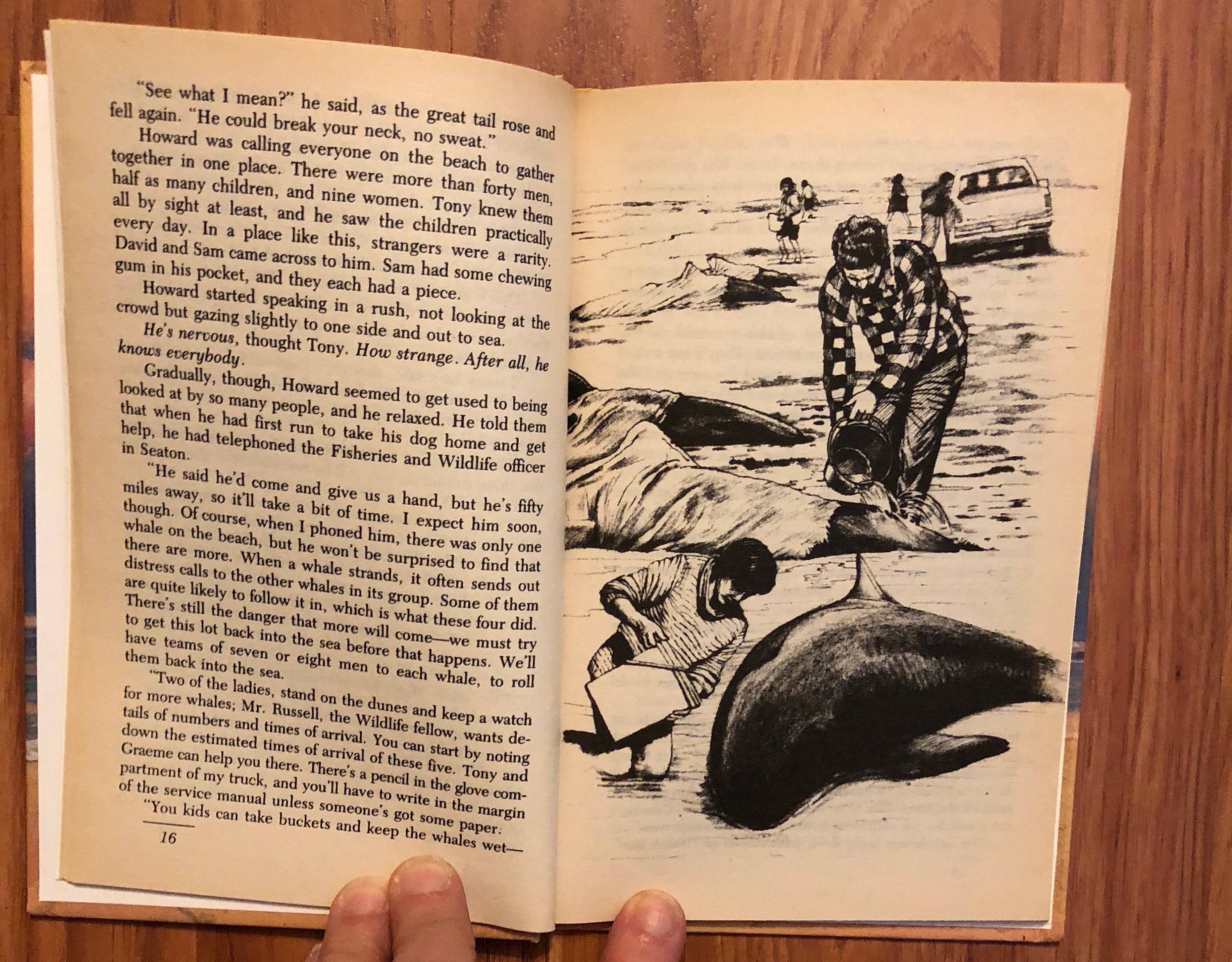 Stranded, de Ann Coleridge, Jr. Fiction, Weekly Reader, 1987 - Etsy España
