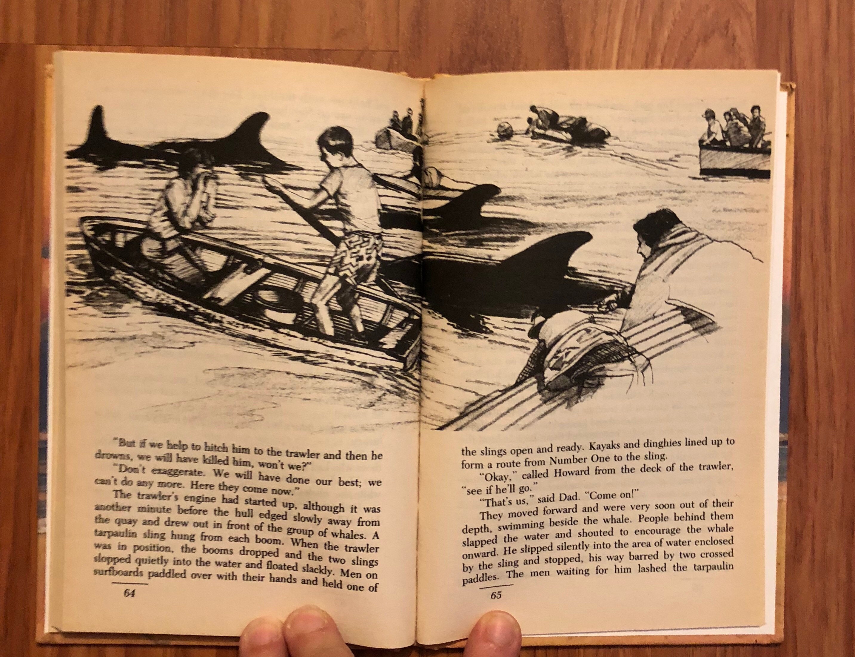 Stranded, de Ann Coleridge, Jr. Fiction, Weekly Reader, 1987 - Etsy España