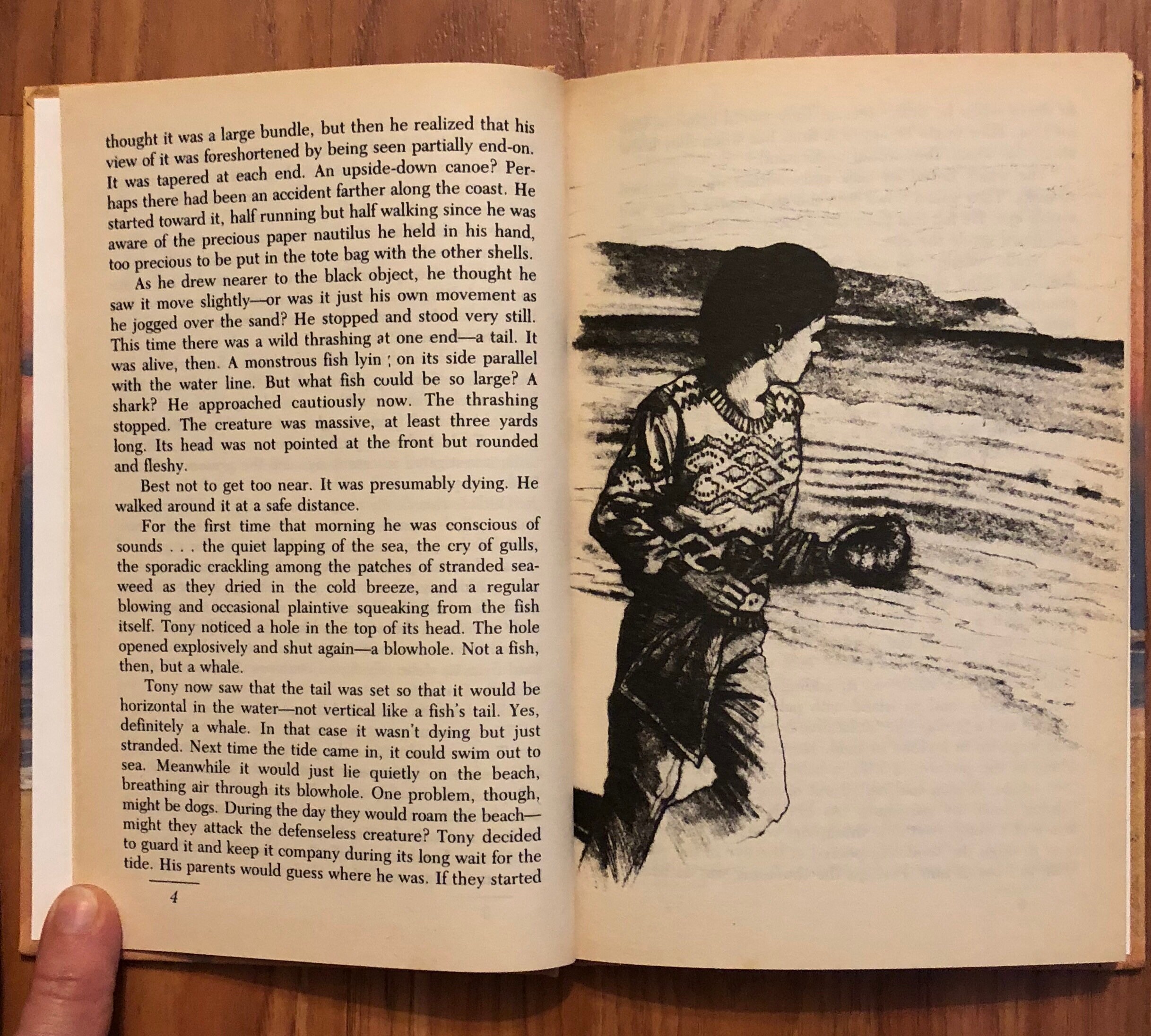 Stranded, de Ann Coleridge, Jr. Fiction, Weekly Reader, 1987 - Etsy España