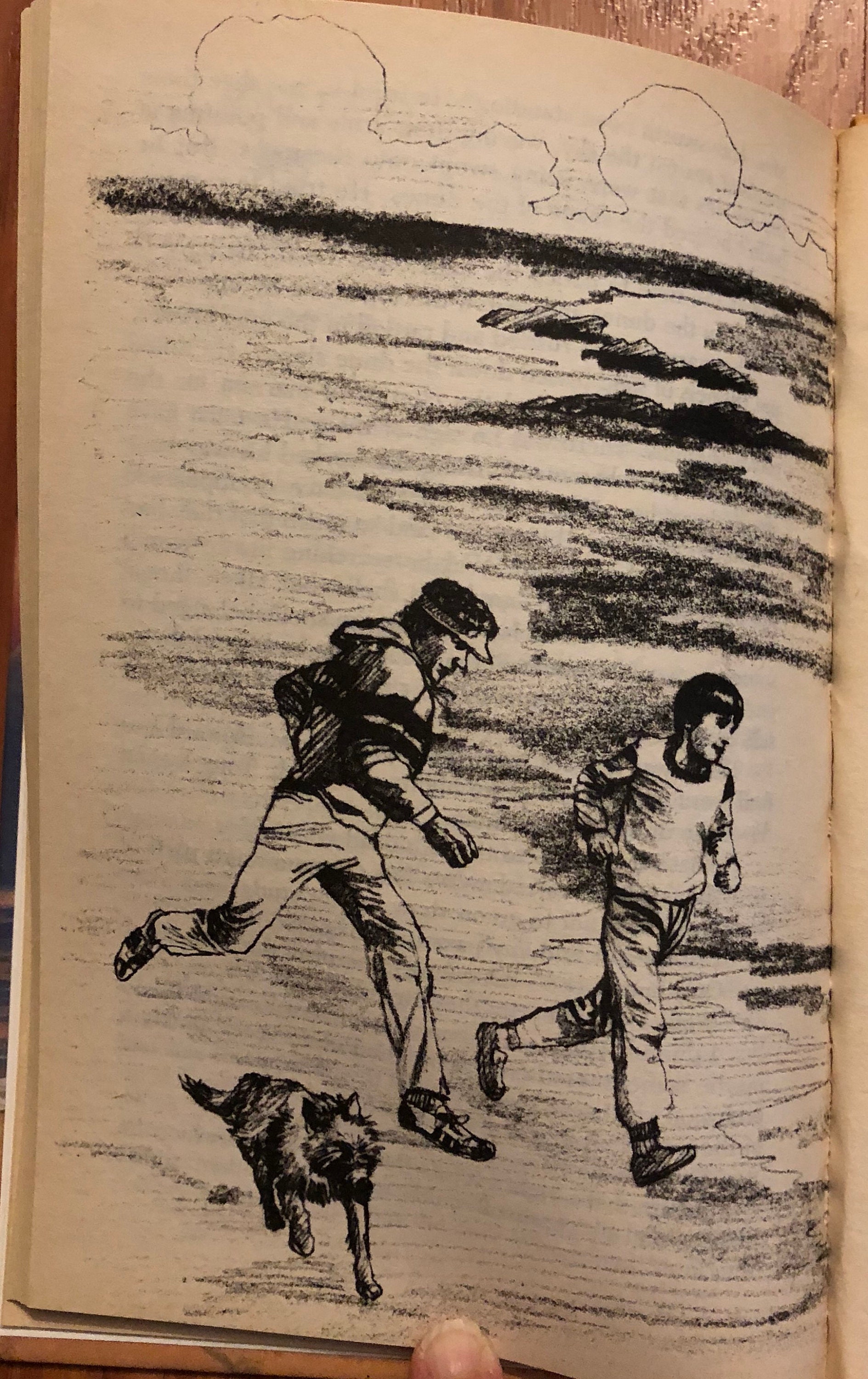 Stranded, de Ann Coleridge, Jr. Fiction, Weekly Reader, 1987 - Etsy España