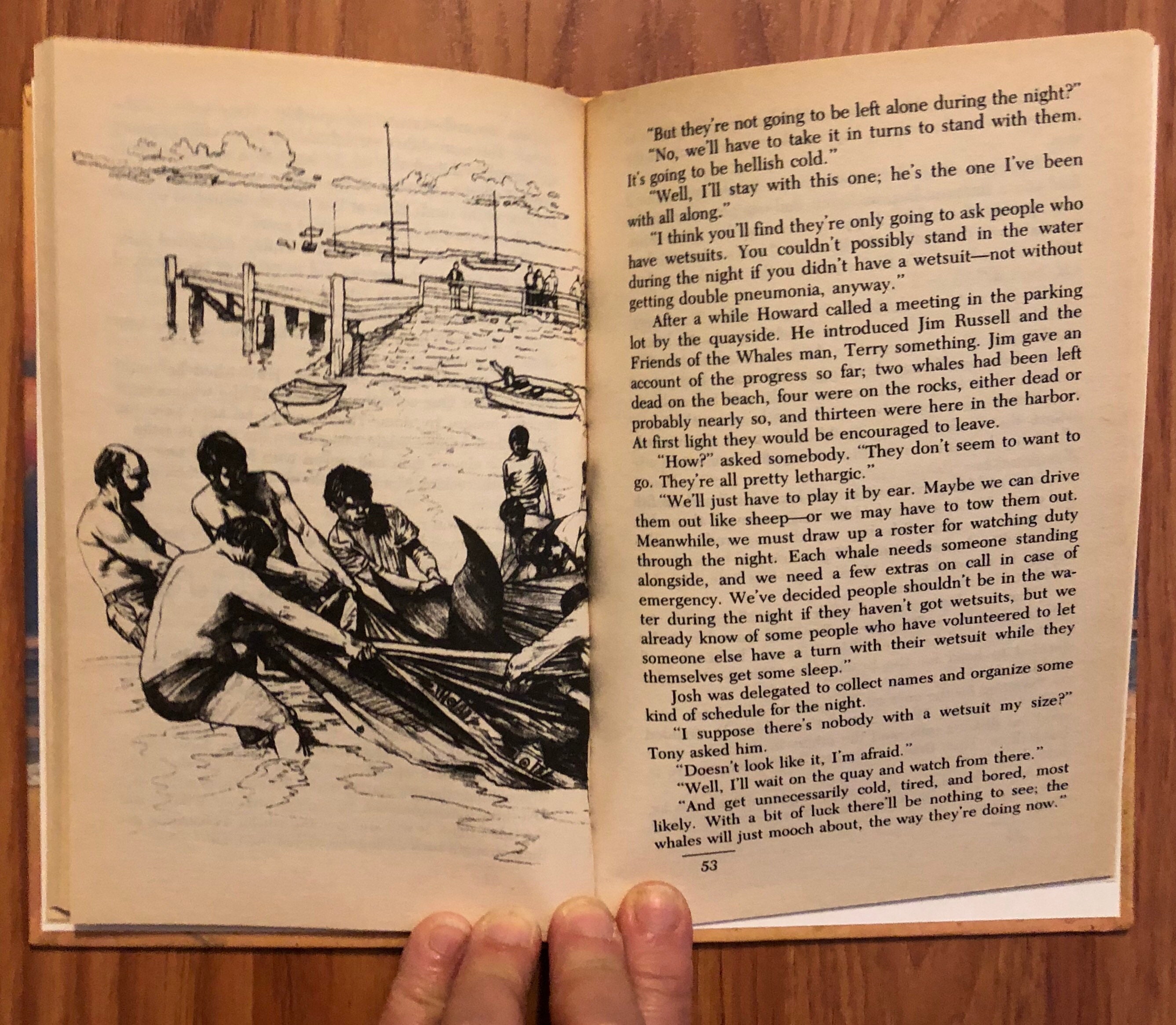 Stranded, de Ann Coleridge, Jr. Fiction, Weekly Reader, 1987 - Etsy España