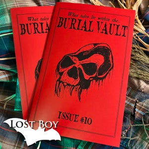 May include: Two red comic books with black text and illustrations. The cover of the top book reads "What tales lie within the... BURIAL VAULT ISSUE #10." The bottom left corner has a white bat logo with the text "LOST BOY."