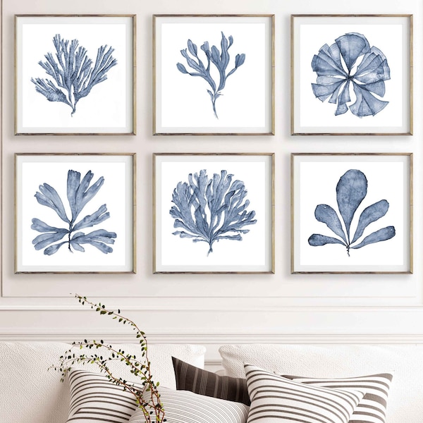 Botanical Print Set of 6 Prints of Blue Sea Fan Watercolor Paintings, Square Artwork for Walls in Living Room, Bedroom Wall Art Over the Bed