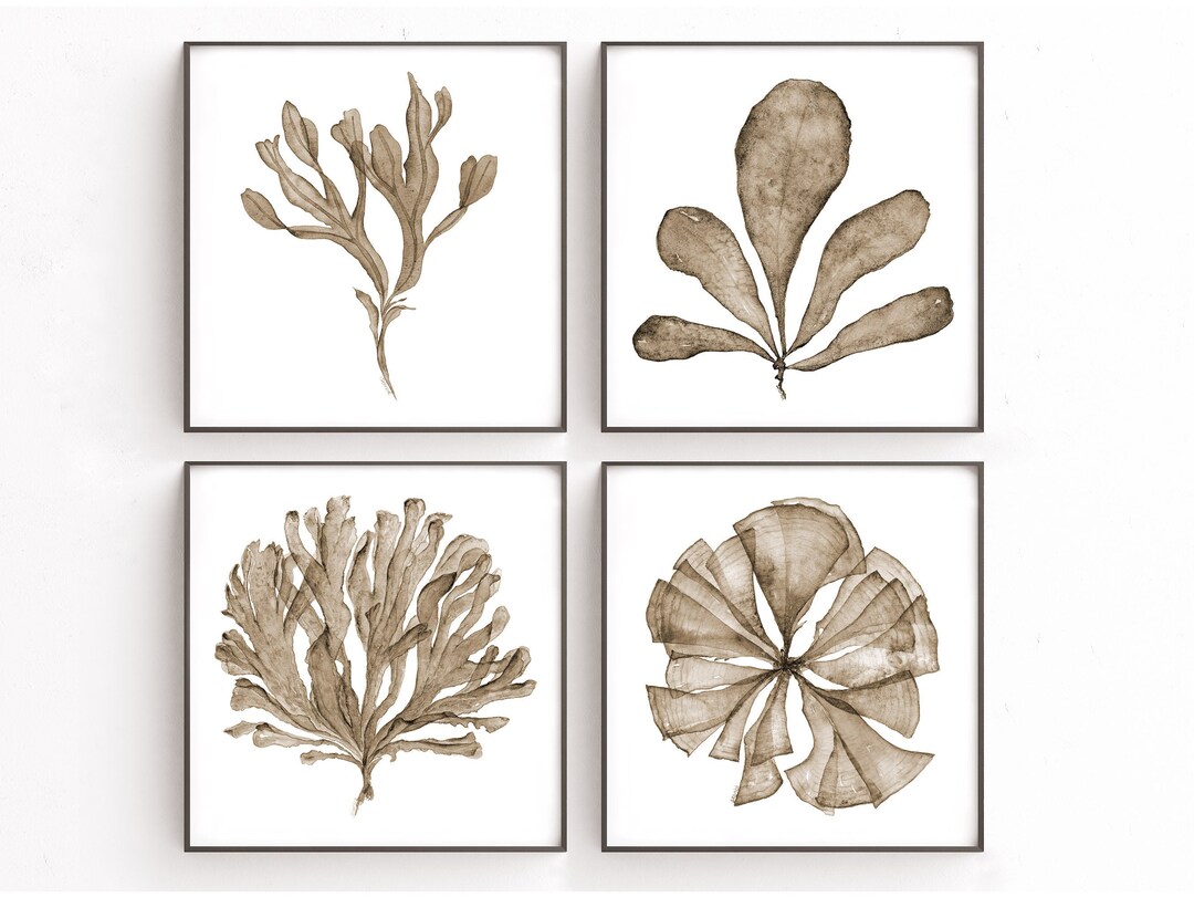 Hamptons Wall Art Print Set of 4 Sea Fan Watercolor Prints, Sepia Brown — free download