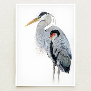 May include: A watercolor painting of a great blue heron standing on one leg with its head turned to the side. The heron is depicted in shades of gray and blue with a hint of red on its chest.