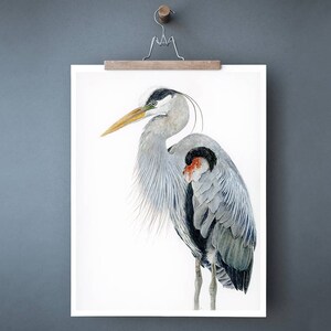 Great Blue Heron Art Watercolor Print, Audubon Bird Print, Bird Art for Walls, Wildlife Decor Gift for Naturalist, Blue Office Wall Art