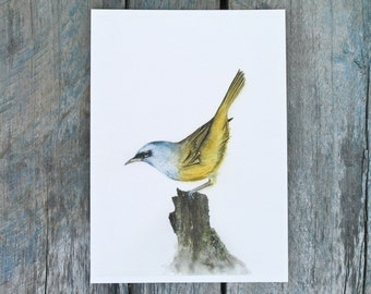 Bird art print 5x7 inches, audubon bird watercolor painting gift for bird lover, yellow rustic home decor, minimalist office wall artwork