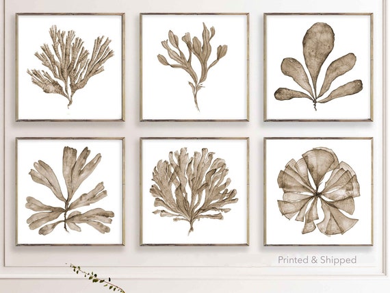 水彩画6枚 水彩画6枚 水彩画 水辺の風景 額装済み 水辺の風景 6