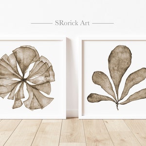 Hamptons Style Two Piece Wall Art Set of Prints, Watercolor Sea Fan, Coastal Farmhouse Wall Decor, Square Artwork for Walls 4x4 to 16x16