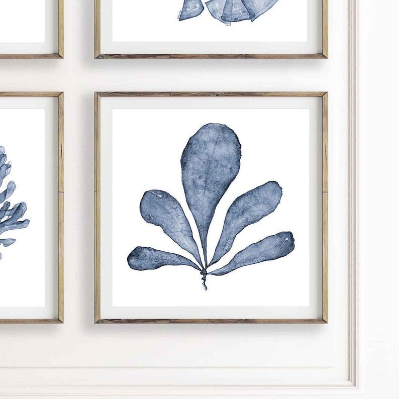 Botanical Print Set of 6 Prints of Blue Sea Fan Watercolor Paintings ...