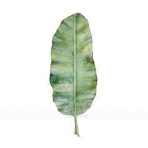 Botanical Art Print Set of 3 Prints in Square Format, 3 Piece Wall Art Banana Leaf, Monstera Leaf and Fern Watercolor Paintings 4x4 to 16x16 image 2