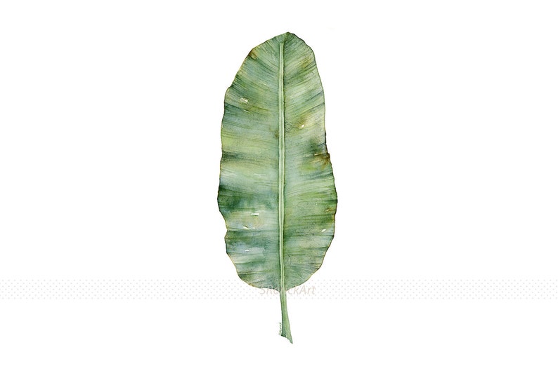 Botanical Art Print Set of 3 Prints in Square Format, 3 Piece Wall Art Banana Leaf, Monstera Leaf and Fern Watercolor Paintings 4x4 to 16x16 image 2