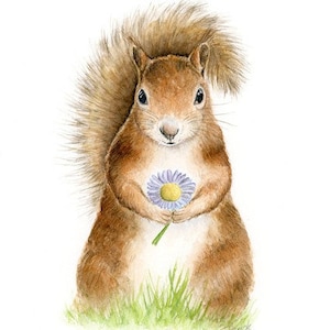 Squirrel print, woodland nursery wall art, kids room decor, watercolor animal painting for boy room, girl baby shower gift idea, large print