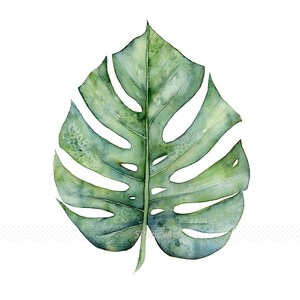 Botanical Art Print Set of 3 Prints in Square Format, 3 Piece Wall Art Banana Leaf, Monstera Leaf and Fern Watercolor Paintings 4x4 to 16x16 image 6