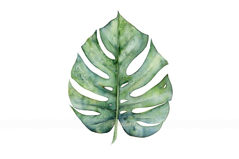 Botanical Art Print Set of 3 Prints in Square Format, 3 Piece Wall Art Banana Leaf, Monstera Leaf and Fern Watercolor Paintings 4x4 to 16x16 image 6