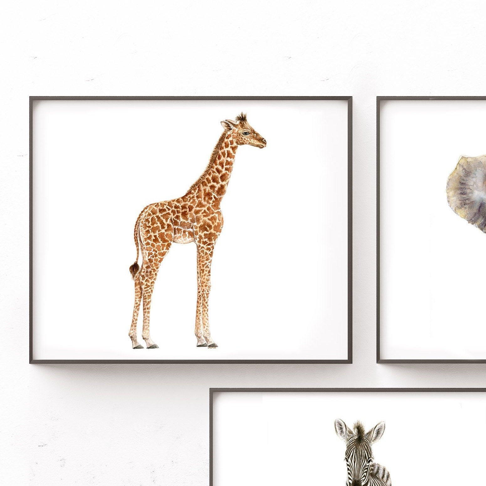 Animal Prints for Nursery, Set of 2, 3, 4, 6 Wall Art, Safari Animals, Kids  and Baby Wall Décor 