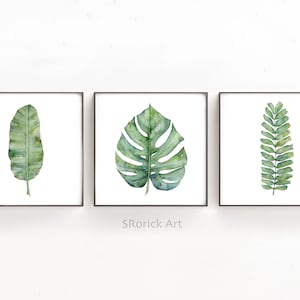May include: Three framed watercolor paintings of tropical leaves. The first painting features a single green banana leaf. The second painting features a single green monstera leaf. The third painting features a single green fern leaf.