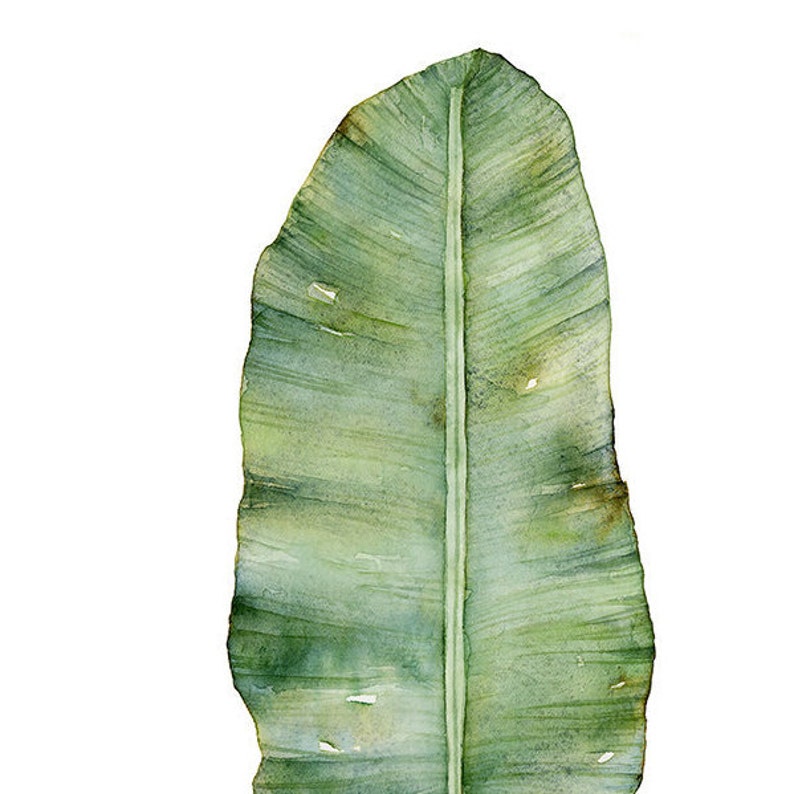Botanical Art Print Set of 3 Prints in Square Format, 3 Piece Wall Art Banana Leaf, Monstera Leaf and Fern Watercolor Paintings 4x4 to 16x16 image 3