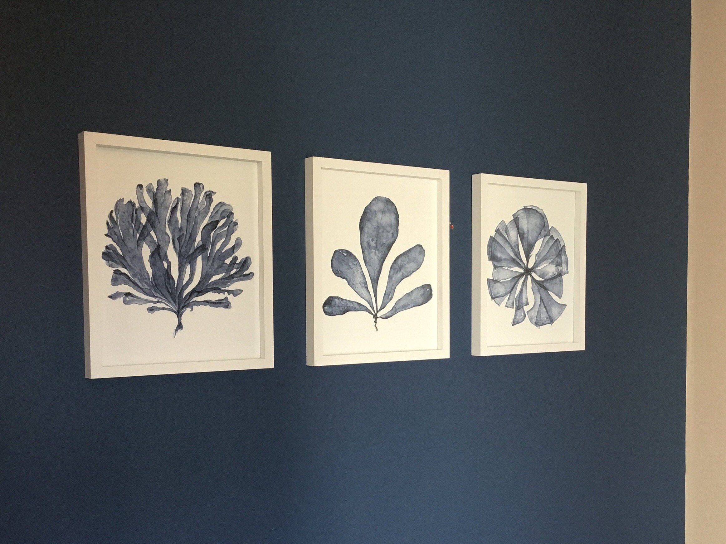 Set of 3 Piece Wall Art Prints of Navy Blue Coral Sea Fan Watercolour ...