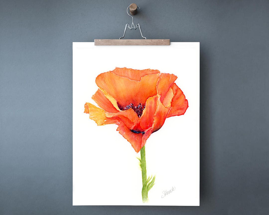 Watercolor Poppy Print, Red Poppy Flower Painting, Botanical Art Print ...