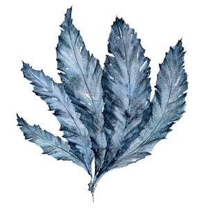 Watercolor Art Print of Sea Fan, Coastal Wall Art, Nautical Decor for Beach House, Seaweed Plant Artwork for Walls, Blue Bedroom Wall Decor