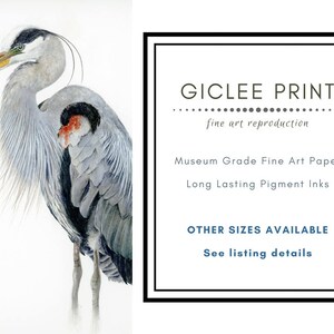 May include: A watercolor painting of a blue heron with a long neck and long legs. The heron is standing on a white background. The painting is titled "Giclee Print" and says "fine art reproduction". It also says "Museum Grade Fine Art Paper" and "Long Lasting Pigment Inks". The text also says "OTHER SIZES AVAILABLE" and "See listing details".