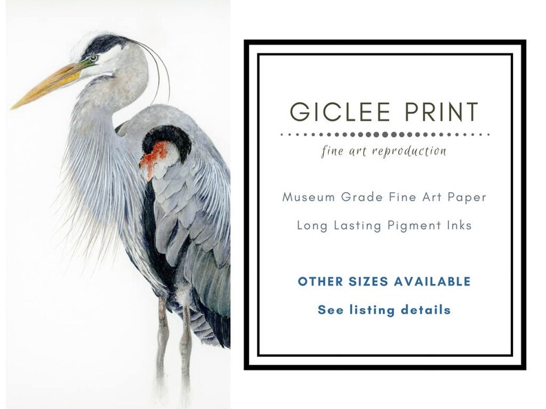 May include: A watercolor painting of a blue heron with a long neck and long legs. The heron is standing on a white background. The painting is titled "Giclee Print" and says "fine art reproduction". It also says "Museum Grade Fine Art Paper" and "Long Lasting Pigment Inks". The text also says "OTHER SIZES AVAILABLE" and "See listing details".