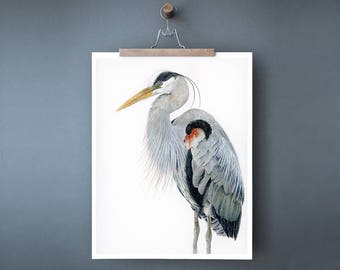 Blue Heron Watercolor Bird Art Print, Coastal Wall Decor, Ornithology Print of Audubon Bird, Lakeside Cottage Wall Decor, Bird Watcher Gift