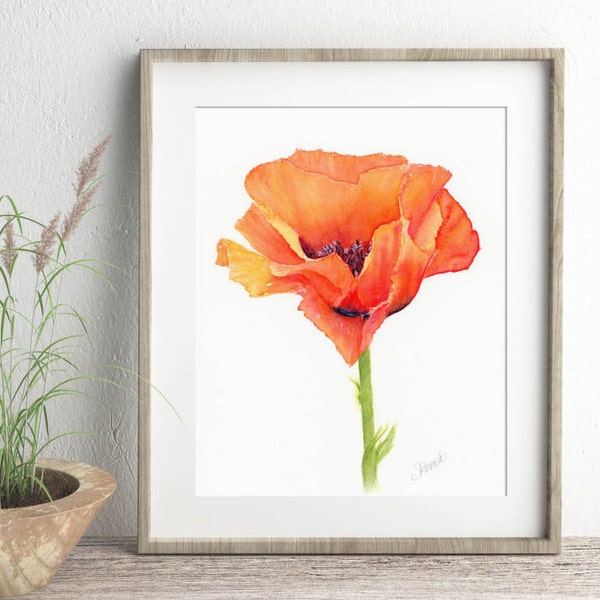 Poppy Art Print of Watercolor Flower Painting, Botanical Print Living Room Wall Art, Master Bedroom Wall Decor for Women, Artwork for Wall