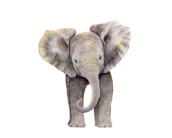 Baby Elephant Print, Elephant Wall Art Nursery Decor, Safari Nursery Decor  Gender Neutral Baby Gift Idea, Large Animal Artwork for Kids Room - Etsy