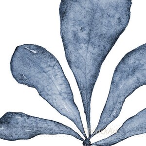 May include: A watercolor painting of a blue leaf with five points. The leaf is painted in a light blue color and has a white background.