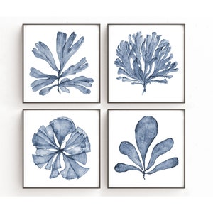 Hamptons Wall Art Print Set of 4 Sea Fan Watercolor Prints, Blue Coastal Decor, Master Bedroom Wall Decor Over the Bed, Artwork for Walls,