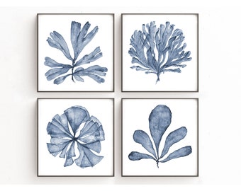 Hamptons Wall Art Print Set of 4 Sea Fan Watercolor Prints, Blue Coastal Decor, Master Bedroom Wall Decor Over the Bed, Artwork for Walls,
