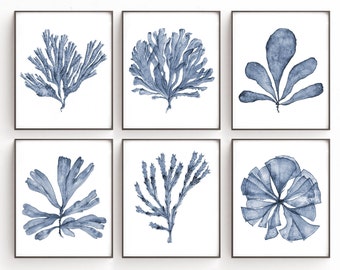Custom listing - Gallery Wall Set of 6 Prints of Sea Fan Watercolor Paintings, Botanical Print Set Blue Coastal Seaside Prints, 14x17 inches