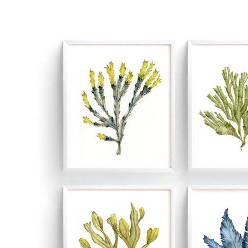 Sea Coral Art Print, Watercolor Sea Fan Painting, Navy Blue Coastal Wall Decor, Botanical Art for Living Room Wall Decor, Seaside Artwork