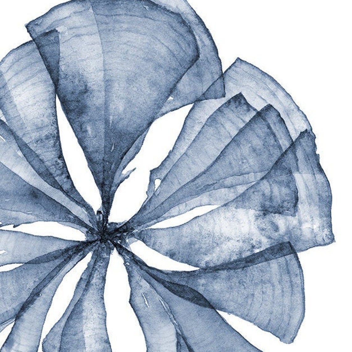 Sea Fan Wall Art Set of Two Prints 5x5 Inches Square Blue Etsy