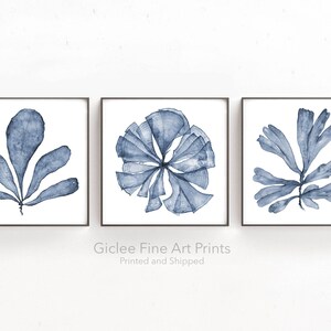 May include: Set of three blue watercolor prints featuring abstract seaweed designs. The prints are framed in black frames and hung on a white wall. Giclee Fine Art Prints Printed and Shipped.