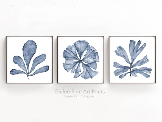 Wall Art Print Set of 3 Prints, Botanical Artwork for Walls, Square Format Sea Fan Watercolor Prints, Coastal Wall Decor for Living Room